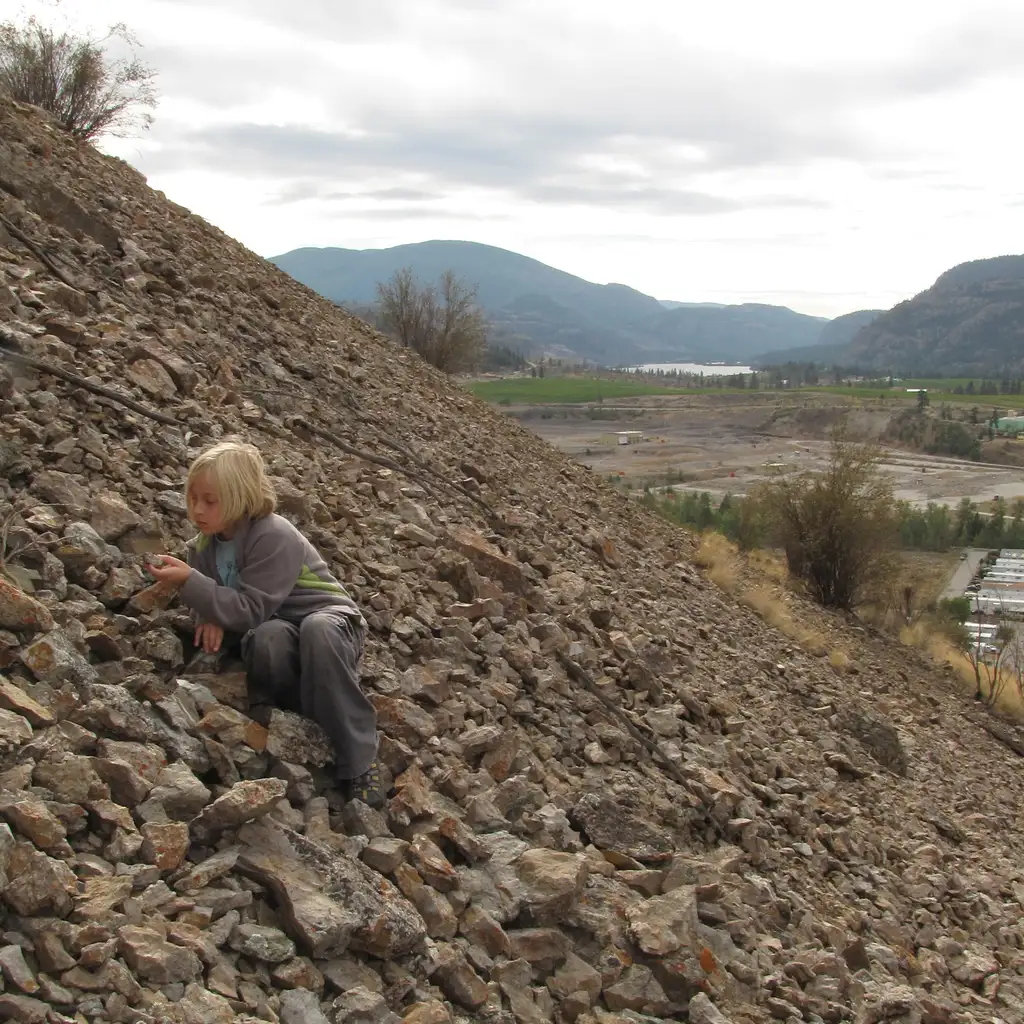 Discover the Thrilling World of Rockhounding: A Guide to Starting Your Rock Collection