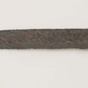 Rare Viking Sword Discovered in Poland's Supraśl River