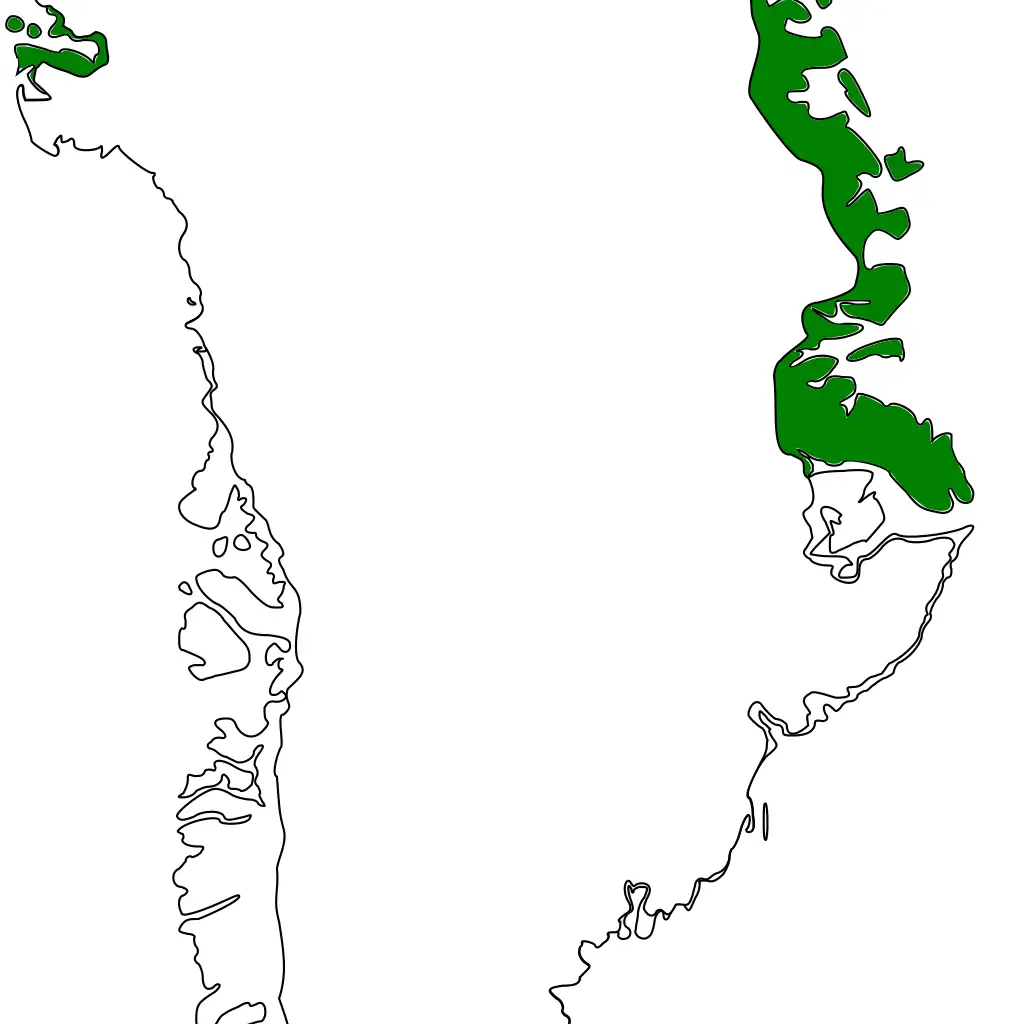 Greenland's Role in the Global Green Energy Transition
