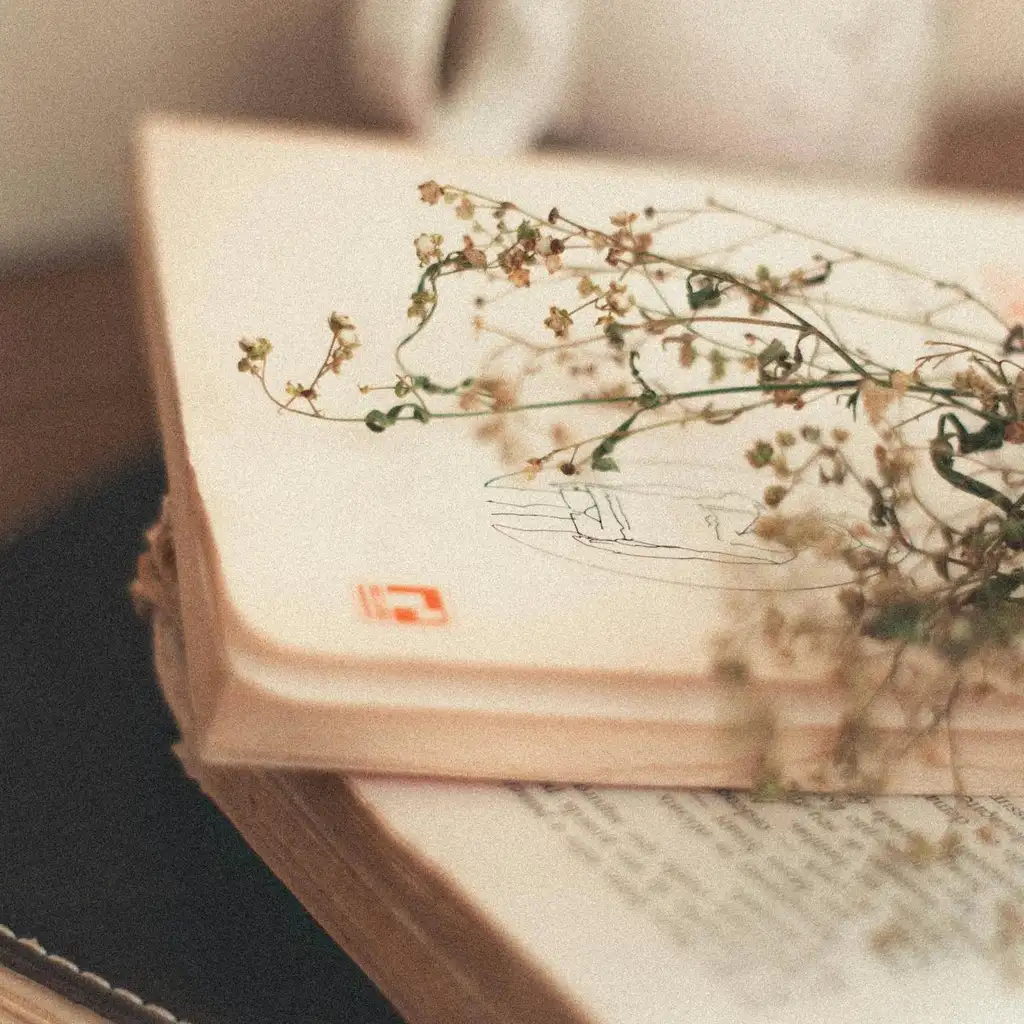 Vintage Autograph Books: A Heartwarming Reunion Story