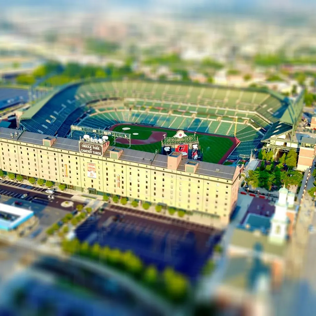 The Thriving World of Baseball Card Collecting