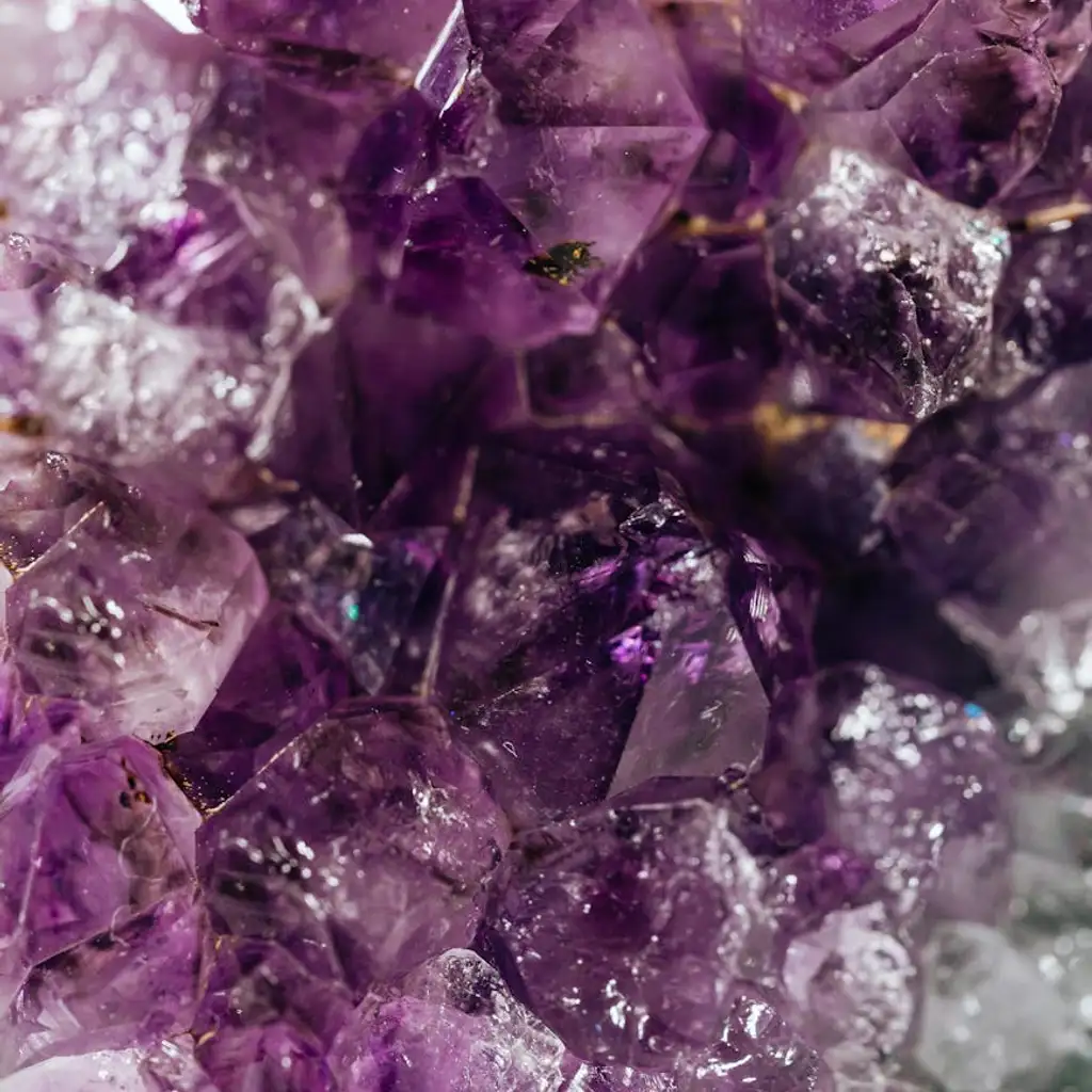 A Day at the Alfie: Free Gemology Event at UA