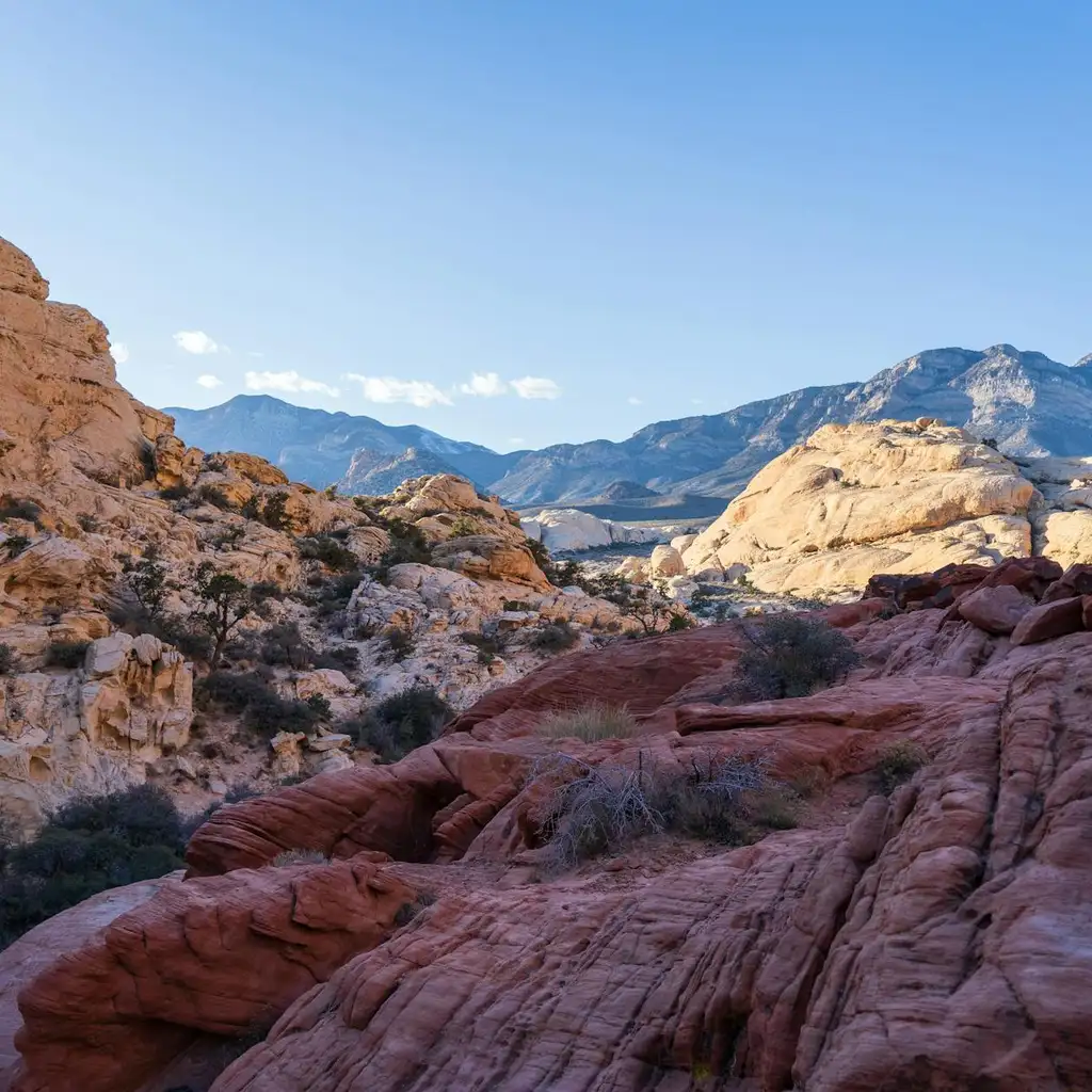 Rockhounding in Nevada: Gems and Adventure Await